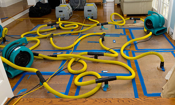 Professional Crawl Space Water Removal technician working in Lyons, MI